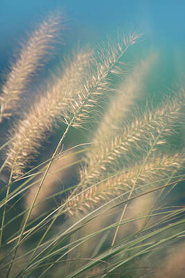Wall Art - Photograph - Touches 7 by Jaroslav Buna