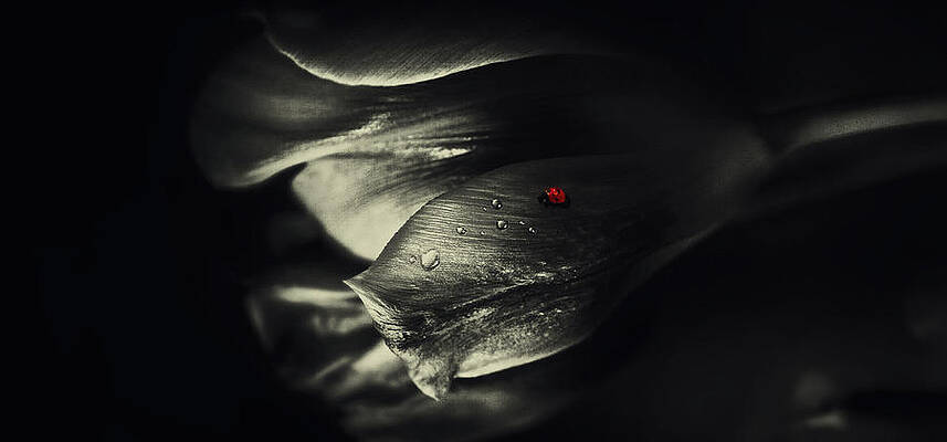 Wall Art - Photograph - Traces by Sherin.abdou