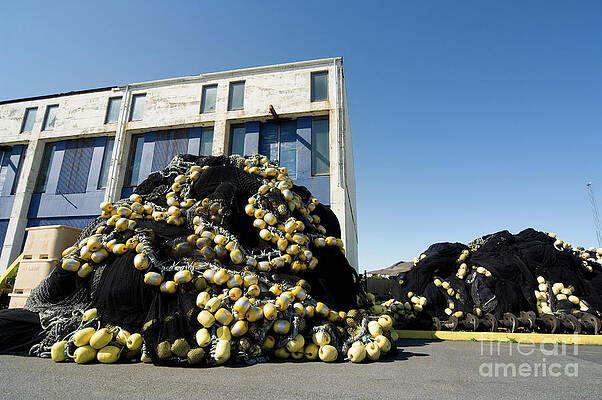 Wall Art - Photograph - Trawl Net by Science Photo Library
