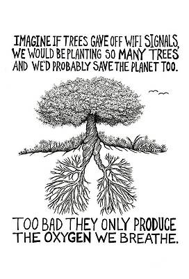Wall Art - Drawing - The Oxygen We Breathe Tree Drawing by Rick Frausto