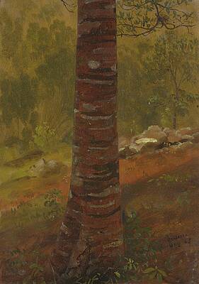 Wall Art - Painting - Tree Trunk by Frederic Edwin Church