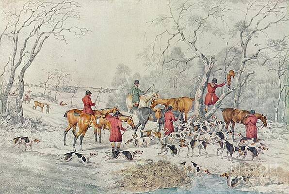 Wall Art - Drawing - Treeing The Fox by Print Collector