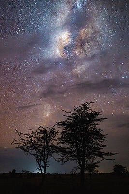 Wall Art - Photograph - Trees With Cloudy Night And With The Milky Way by Cavan Images