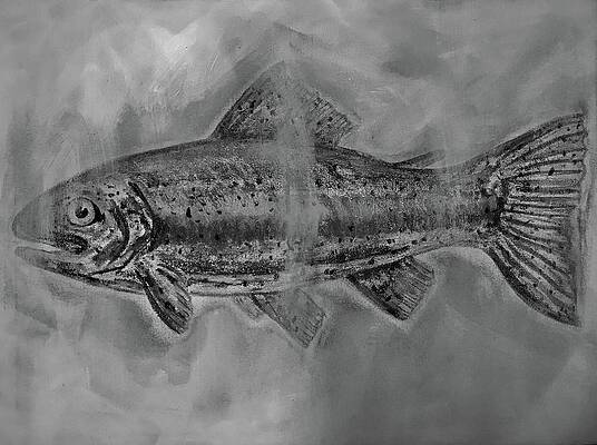 Wall Art - Drawing - Trout in the Mist by Sarah Fox Wangler