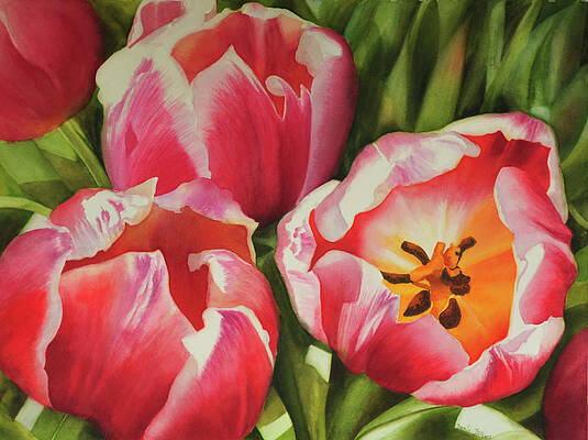 Red Tulips Paintings - Fine Art America