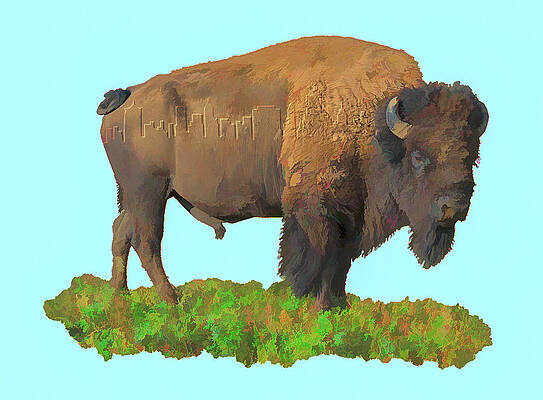 Tulsa Skyline on Buffalo by Bert Peake Tulsa Skyline on Buffalo by Bert Peake