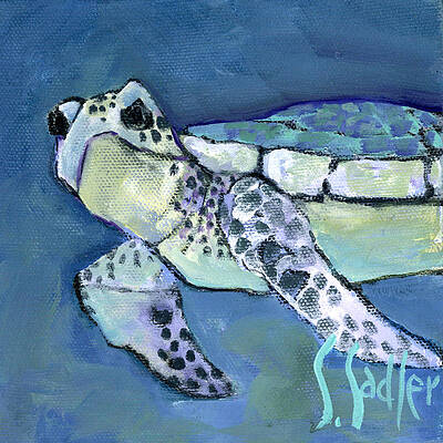 Turtle Blue by Susan Sadler Turtle Blue by Susan Sadler