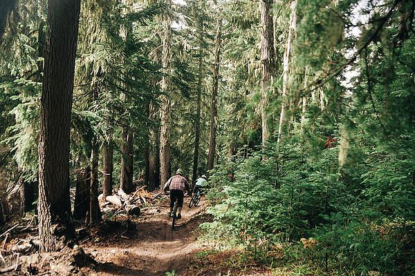 Wall Art - Photograph - Two Bikers Ride The Trails At A Bike Park On Mt. Hood, Oregon. by Cavan Images