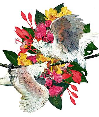 Birds And Flowers Drawings Fine Art America See more of beautiful birds, flowers and butterflies on facebook. birds and flowers drawings fine art