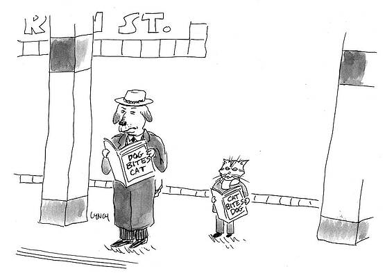 Wall Art - Drawing - Two Headlines Read 'dog Bites Cat,' And 'cat Bites Dog by Mike Lynch