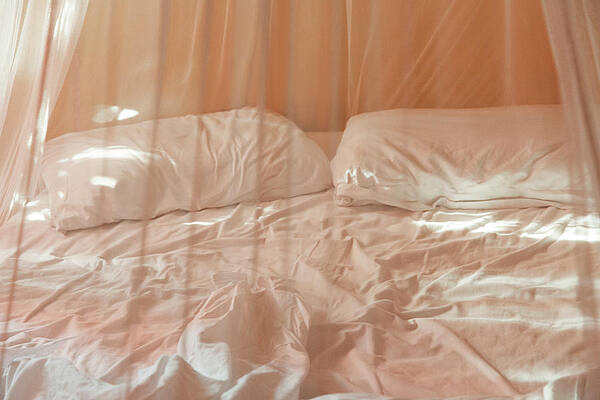 Wall Art - Photograph - Two Pillows And Empty Bed With Netting by Sasha Weleber