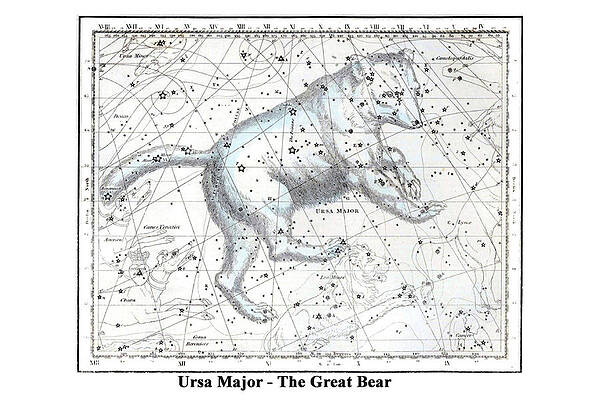 Wall Art - Painting - Ursa Major - The Great Bear by Alexander Jamieson