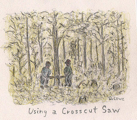 Using a Crosscut Saw by DANNY LOWE Using a Crosscut Saw by DANNY LOWE