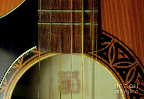 Wall Art - Photograph - Vibration Of Guitar Strings by Science Photo Library