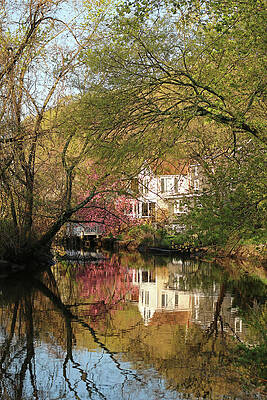 View from across the pond by Laurie Lago Rispoli View from across the pond by Laurie Lago Rispoli