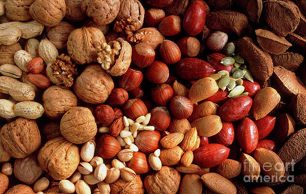 Wall Art - Photograph - View Of An Assortment Of Nuts by Science Photo Library