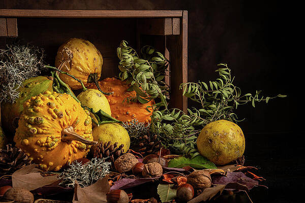Wall Art - Photograph - View Of Pumpkins In Box On Wooden Table With Nuts, Autumn by Cavan Images / Arantxa Forcada