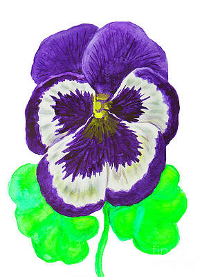 Violet pansy, painting by Irina Afonskaya Violet pansy, painting by Irina Afonskaya