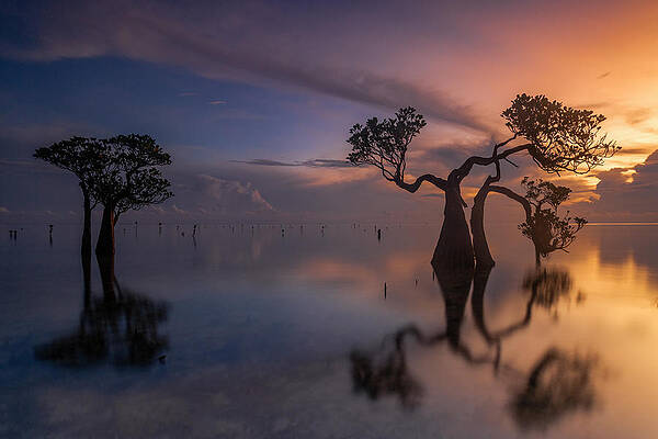 Wall Art - Photograph - Walakiri Beach by Sally Widjaja