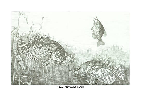 Fishing Bobber Drawings for Sale - Fine Art America