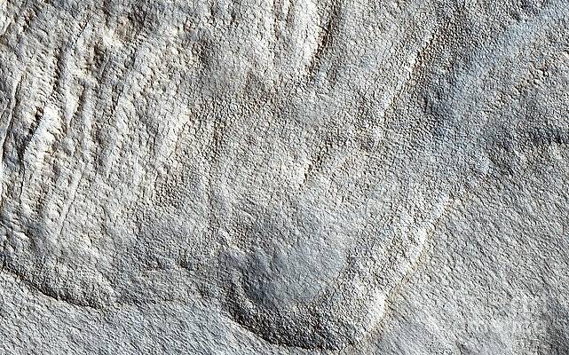 Wall Art - Photograph - Water Ice Features On Mars by Science Photo Library