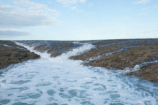 Wall Art - Photograph - Water Starting To Run Off The Reef With Ebbing Tide. by Rick Price / Naturepl.com