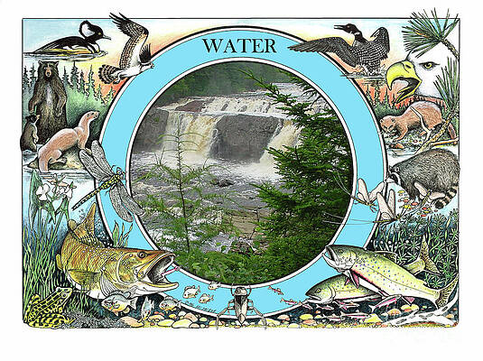 WATER - The Circle of Life by Art MacKay WATER - The Circle of Life by Art MacKay