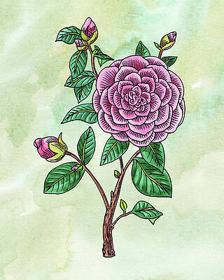 Japanese Ink Paintings Fine Art America