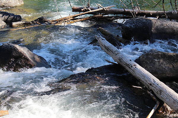 Waterscape 5 by Andrew Williams Waterscape 5 by Andrew Williams