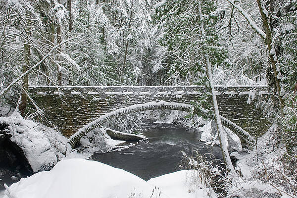 Wall Art - Photograph - Whatcom Creek Bridge by Alan Majchrowicz
