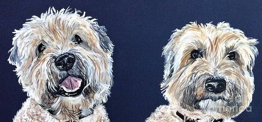 Wheaten Terriers by Barbara Donovan Wheaten Terriers by Barbara Donovan