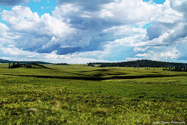 White Mountain Field by Joseph Noonan White Mountain Field by Joseph Noonan