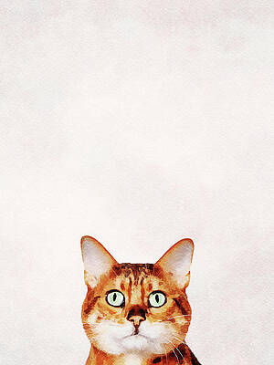 Wall Art - Photograph - Who are you looking at? Digital water color painting of bengal c by Steven Heap