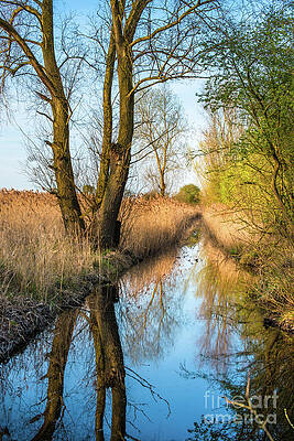 Wicken Fen scenic 3 by Andrew Michael Wicken Fen scenic 3 by Andrew Michael