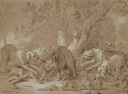 Wall Art - Drawing - Wild Sow And Her Young Attacked By Dogs by Jean-baptiste Oudry