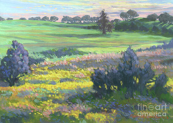 Wildflower Spring by Rhett Regina Owings Wildflower Spring by Rhett Regina Owings
