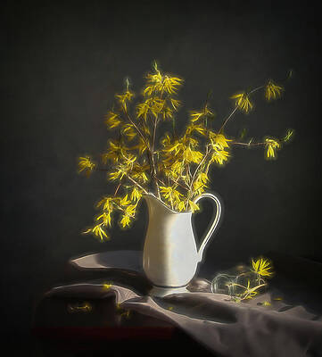 Jasmine Flowers by Tetsuya Tanooka/a.collectionrf