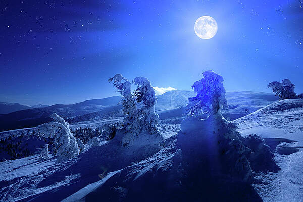 Winter Moon Print by Yourapechkin