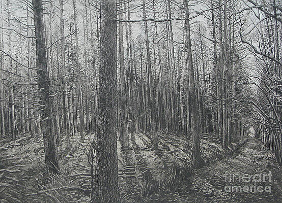 Featured image of post Winter Landscape Drawing Sketch / Download all photos and use them even for commercial projects.