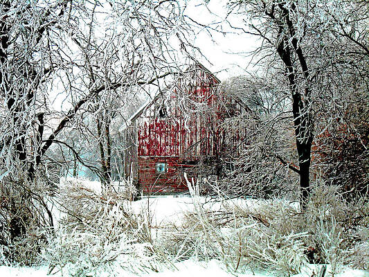 Winter Wonderland by Julie Hamilton Winter Wonderland by Julie Hamilton