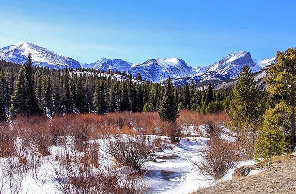 Wall Art - Photograph - Winter's Peace at Rocky Mountains by Dawn Richards