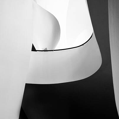 Wall Art - Photograph - Working In Harmony by Wayne Pearson