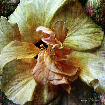 Yellow Hibiscus by Barbara Berney Yellow Hibiscus by Barbara Berney