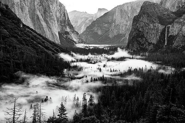 Yosemite fog 2 by Stephen Holst Yosemite fog 2 by Stephen Holst