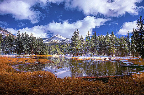 California Wall Art featuring the digital art Yosemite National Park, California by Bravo
