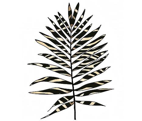Wall Art - Drawing - Zebra Pattern Palm Leaf  by Joan Stratton
