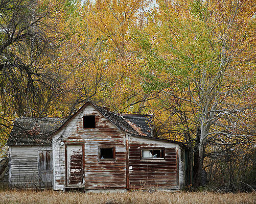Abandoned House by Paul Freidlund Abandoned House by Paul Freidlund