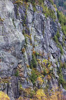 Adirondack Cliffside by Dave Niedbala Adirondack Cliffside by Dave Niedbala
