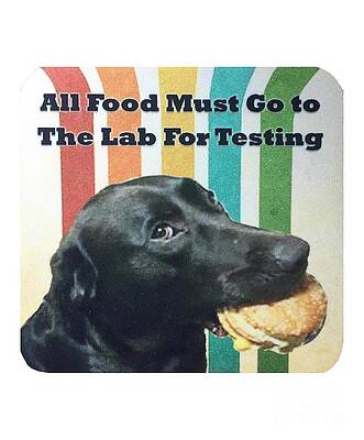 All Food Must Go To The Lab For Testing by Morgan Freddie