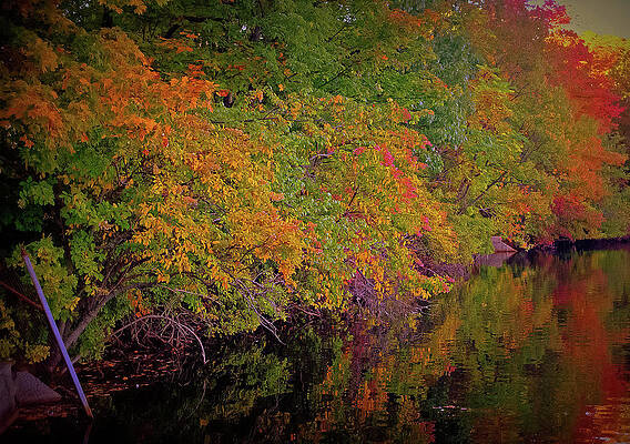 Autumn in Cold Spring Harbor by Dean Williams Autumn in Cold Spring Harbor by Dean Williams